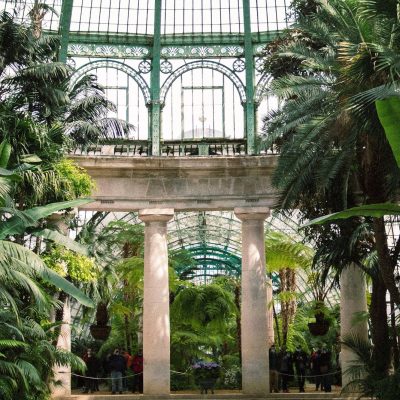 בית הדקלים – פאלמנהאוס (Palmenhaus Burggarten)