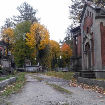 בית הקברות המרכזי (Vienna Central Cemetery)