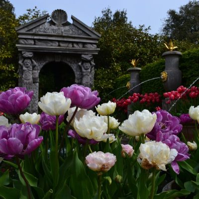 גני פולקסגרטן (Volksgarten)