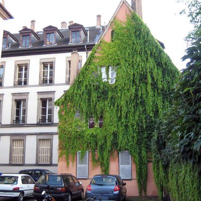 מוזיאון זיגמונד פרויד (Sigmund Freud Museum)